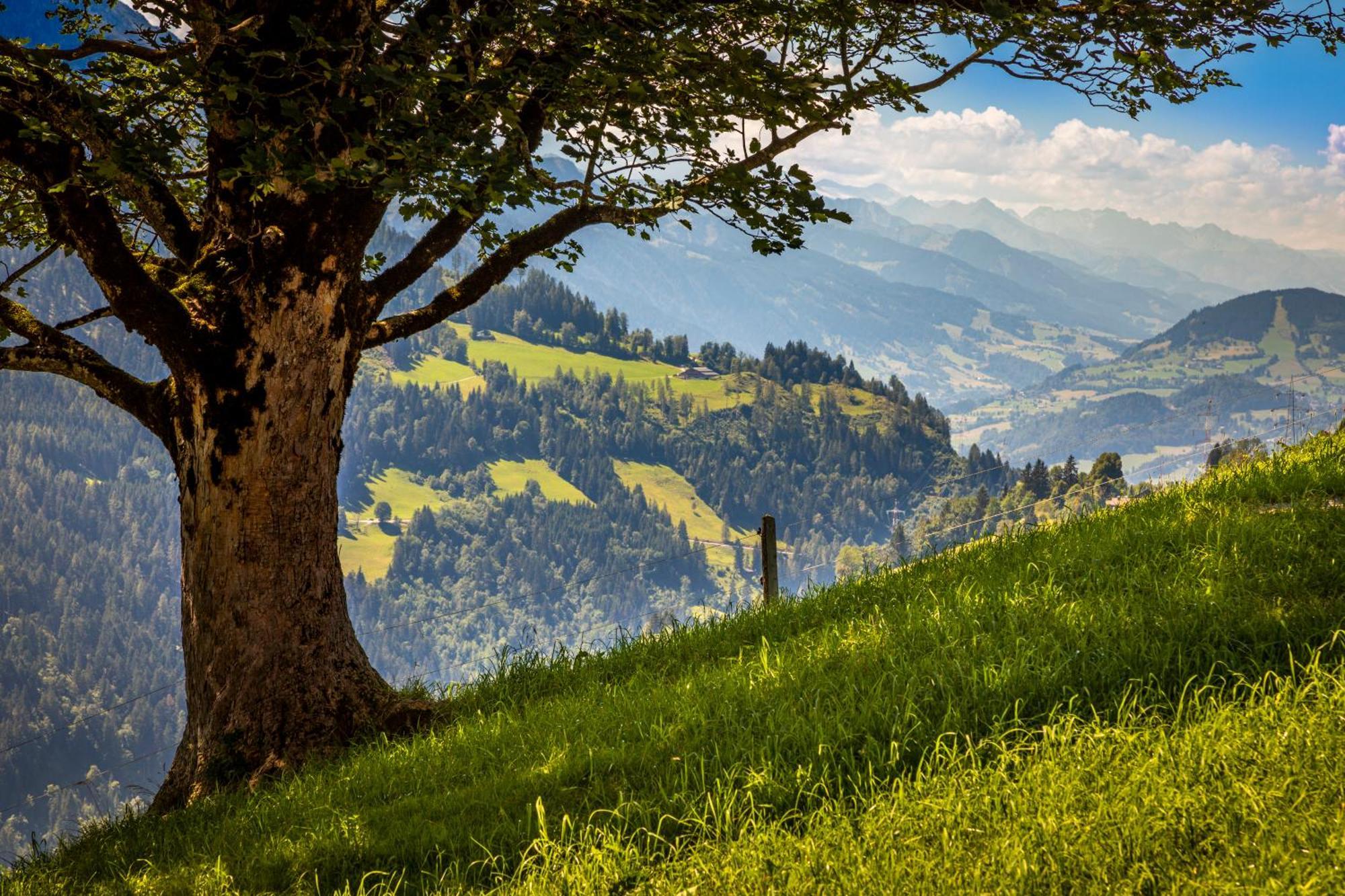 Haus Lindbichl Villa Sankt Johann im Pongau Kamer foto